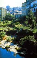 Click for more information about Galicia!